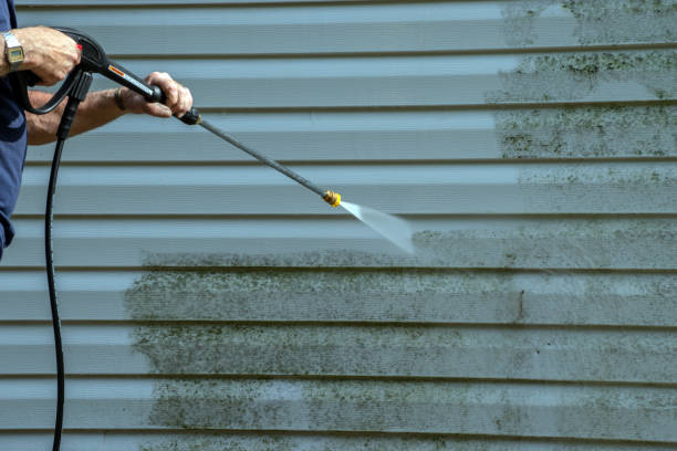 Professional Pressure Washing Services in Tolono, IL